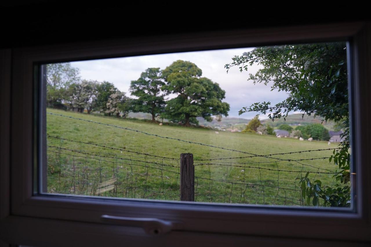 Bed and Breakfast Mountainview à Ballyward Extérieur photo