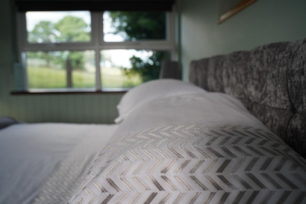 Bed and Breakfast Mountainview à Ballyward Extérieur photo